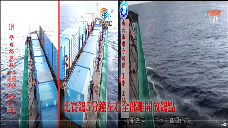 2025年南海夏季競翔【第二關】06/22(日)