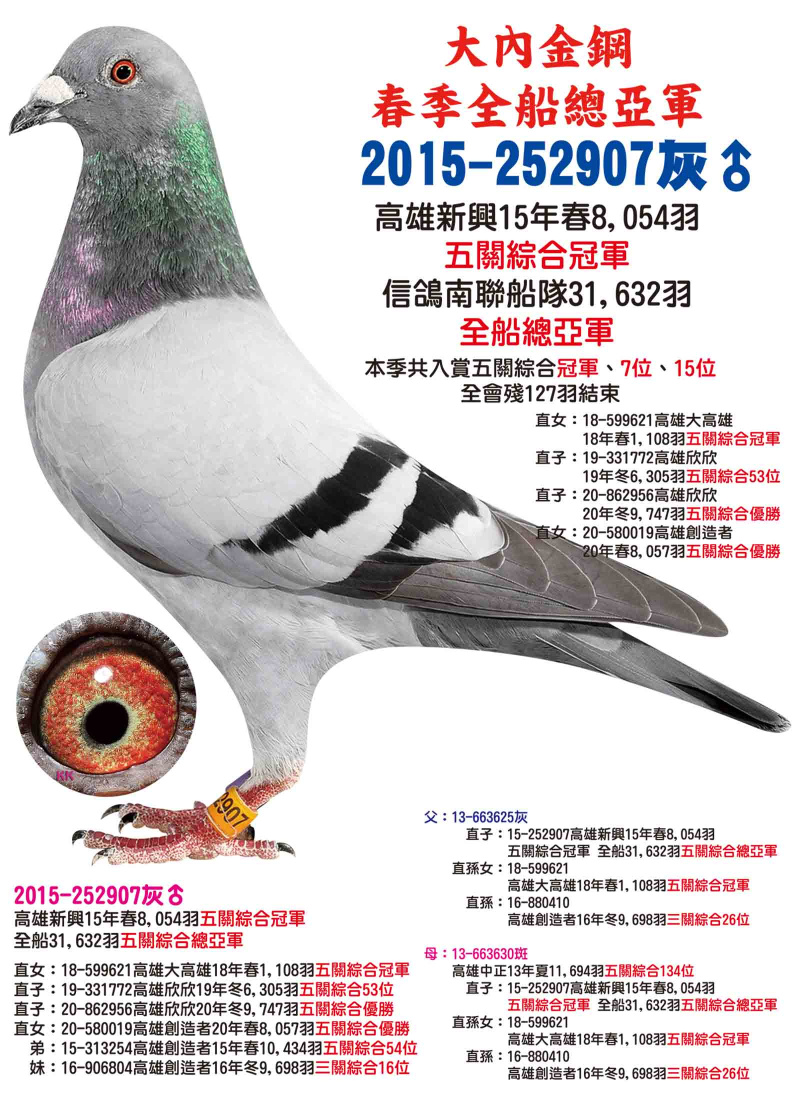 2015-252907灰公 冠軍907