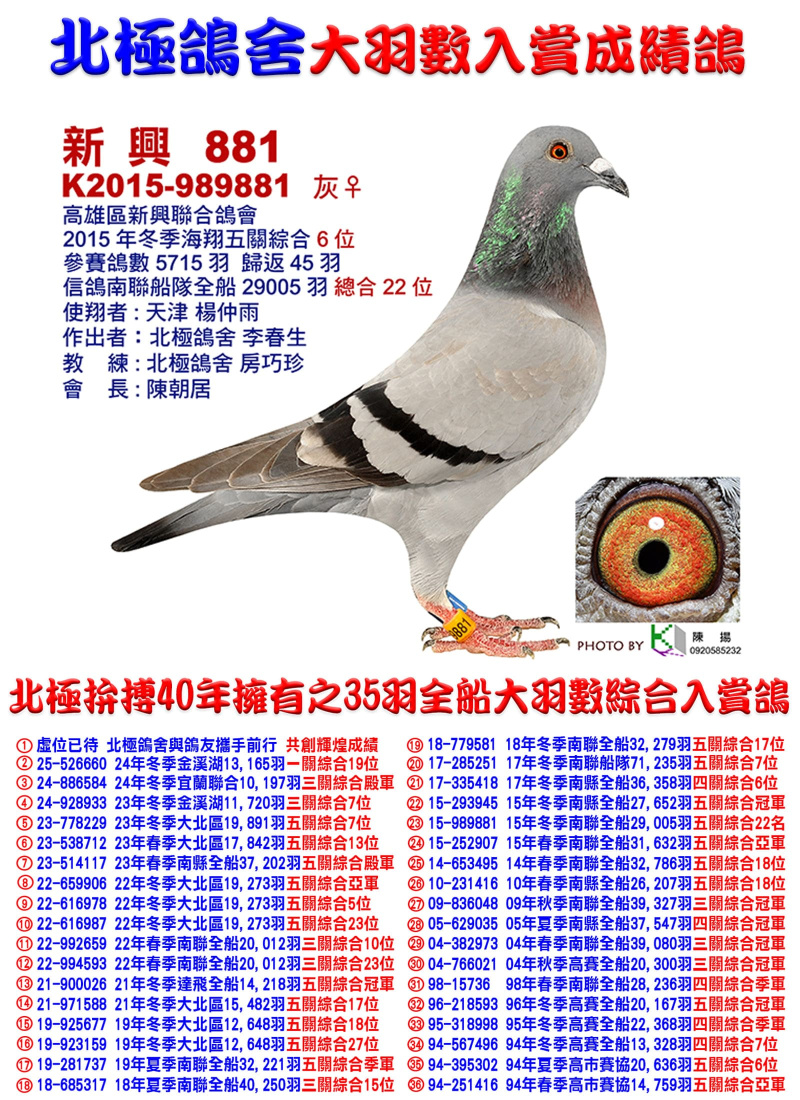 全船29,005羽綜合22位 2015-989881灰母