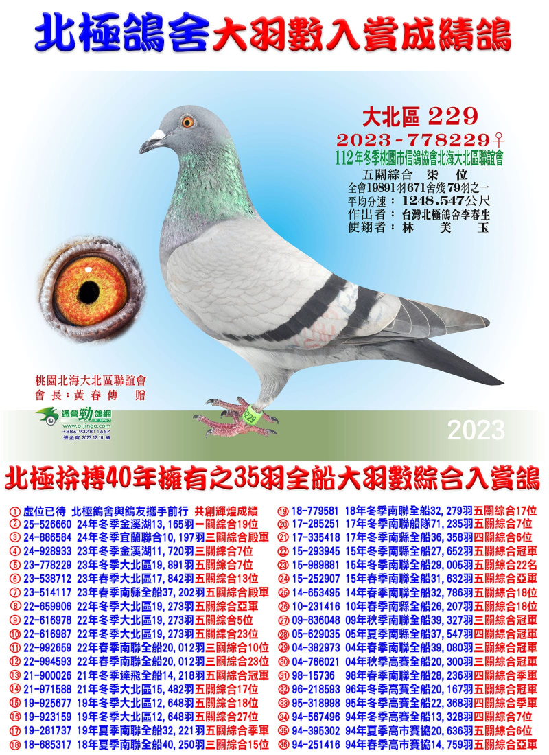 全會19,891羽五關綜合七位 2023-778229灰母