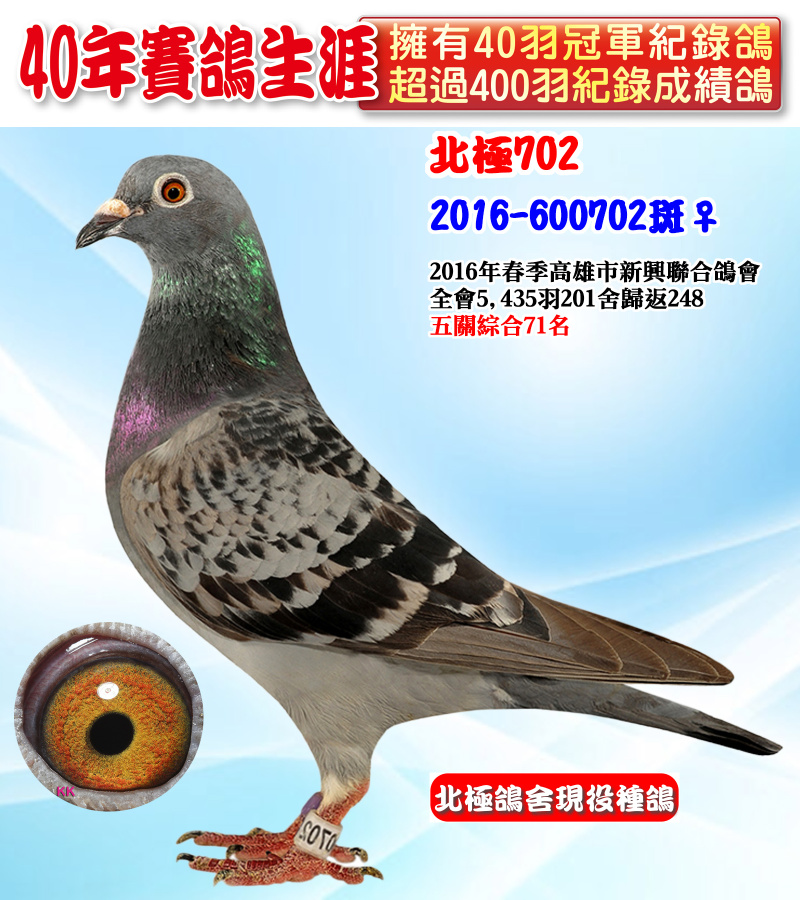 北極702 2016-600702斑♀