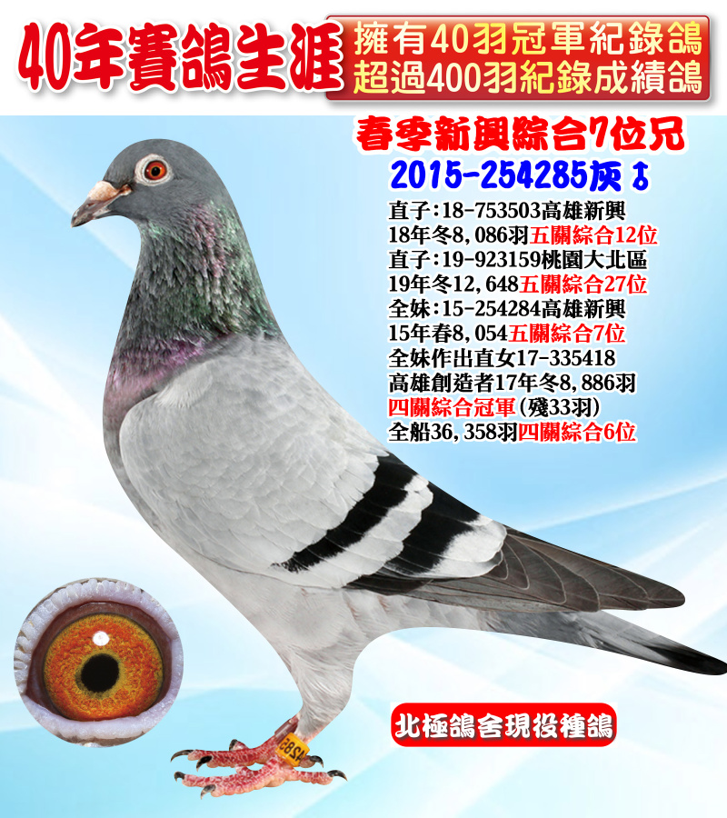 春季新興綜合7位兄 2015-254285灰♂