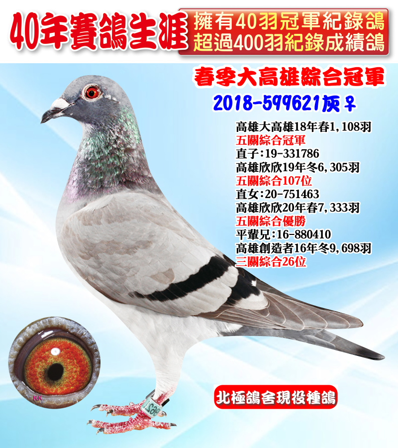 春季大高雄綜合冠軍 2018-599621灰♀