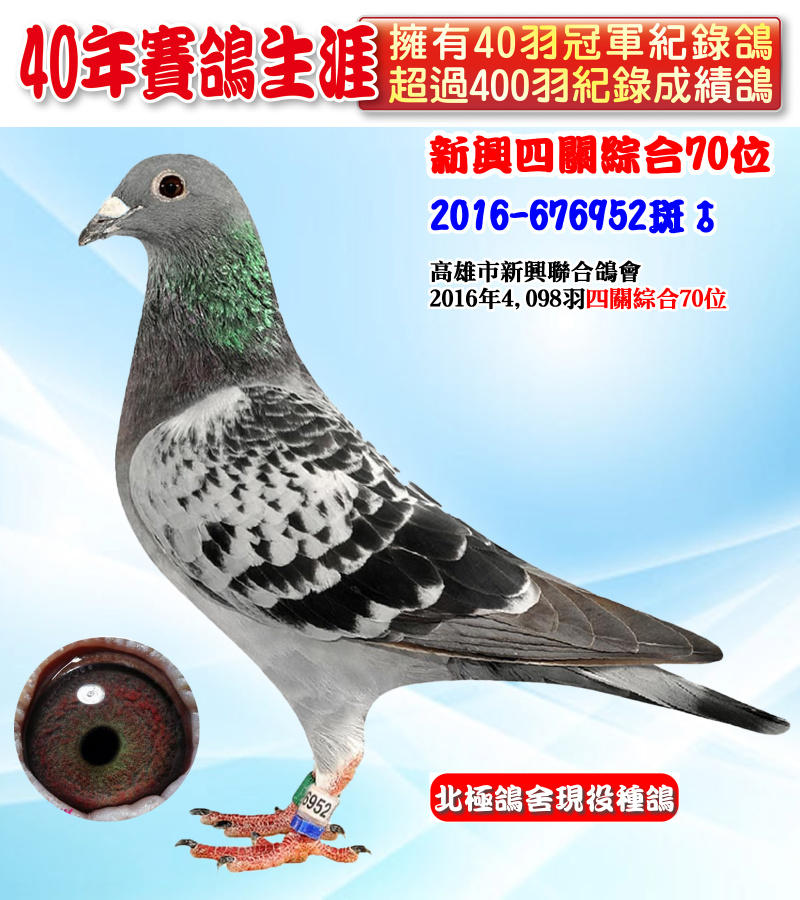 新興四關綜合70位 2016-676952斑♂