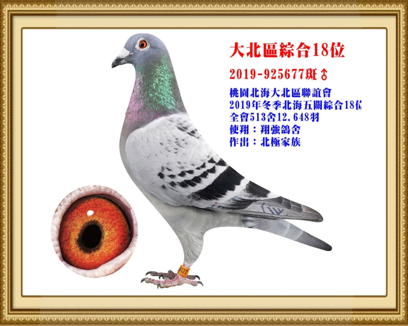 大北區綜合18位 2019-925677斑公