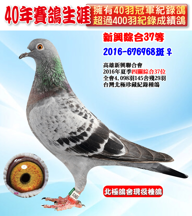 新興綜合37等 2016-676968斑♀