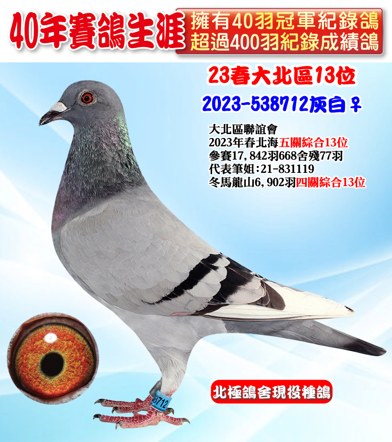 23春大北區13位 2023-538712灰白♀