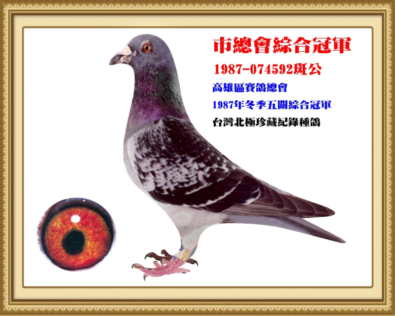 市總會綜合冠軍 1987-074592斑公