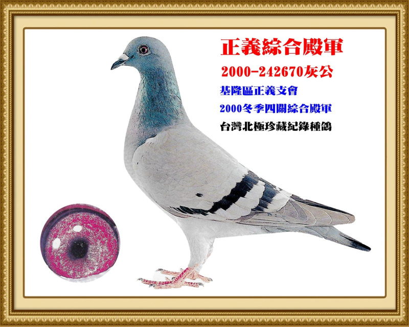 正義綜合殿軍 2000-242670灰公