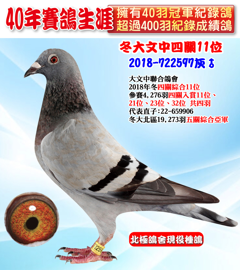 冬大文中四關11位 2018-722597灰♂