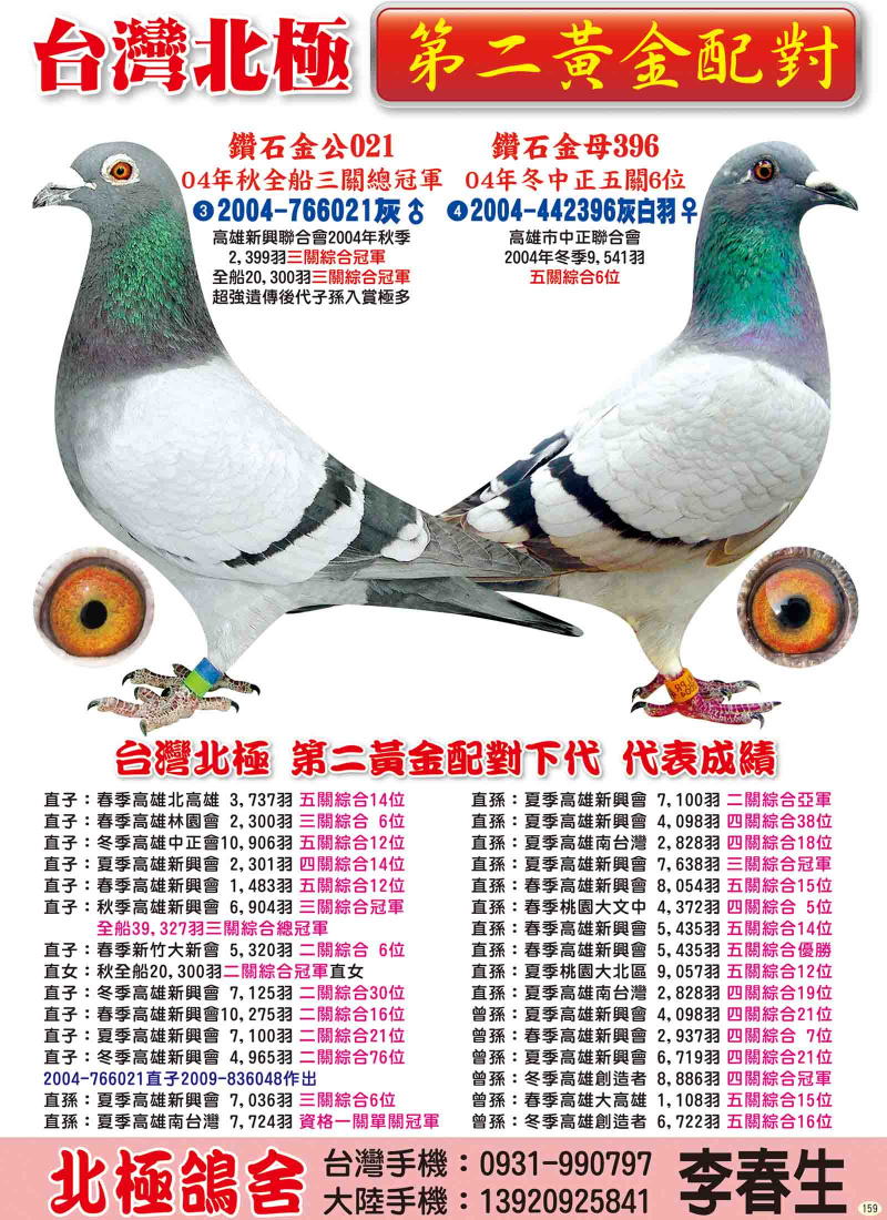 第二黃金配對
