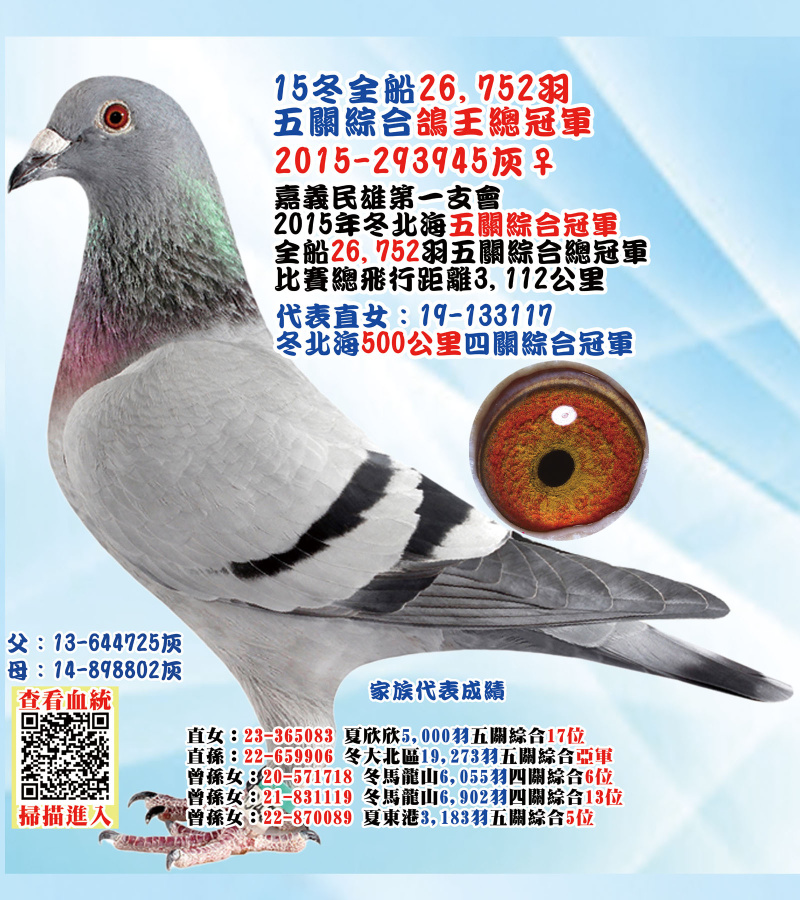 15冬全船26,752羽五關綜合鴿王總冠軍