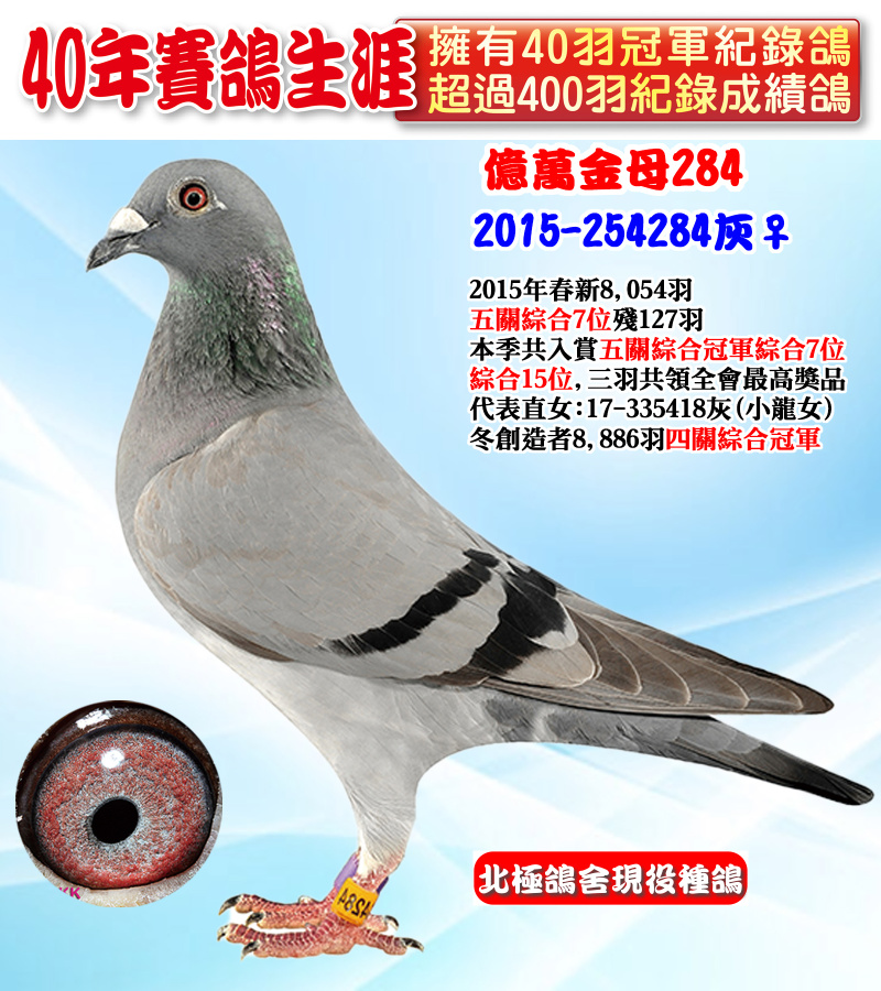 億萬金母284 2015-254284灰♀