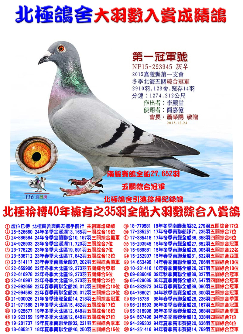 全船27,652羽五關綜合冠軍 2015-293945灰母