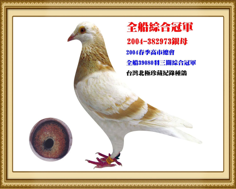全船綜合冠軍 2004-382973銀母