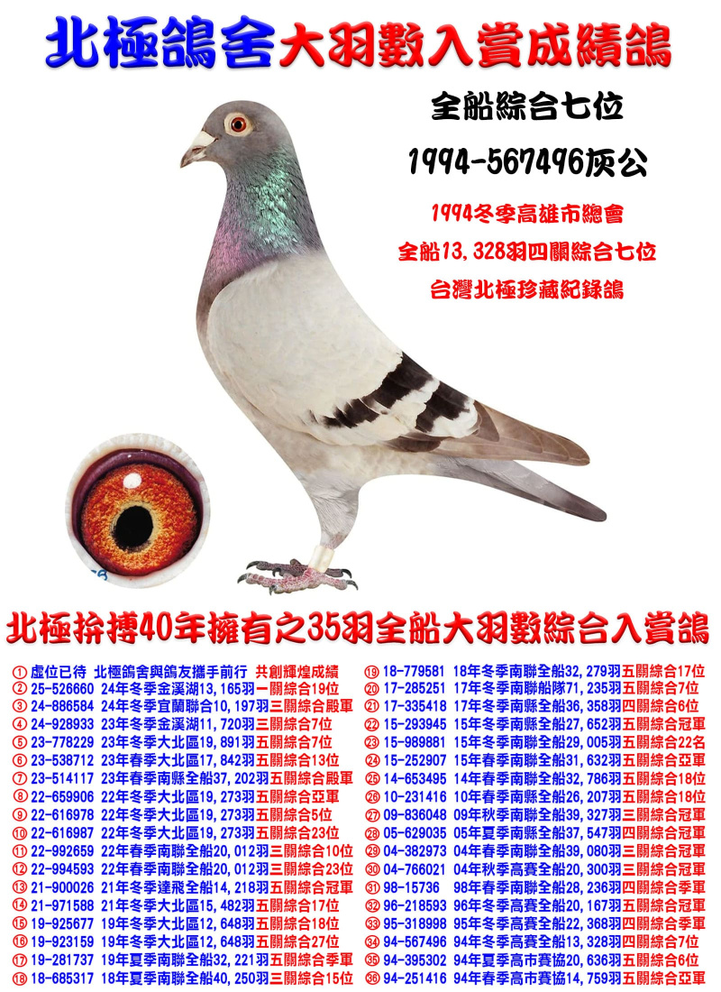 全船13,328羽四關綜合七位 1994-567496灰公