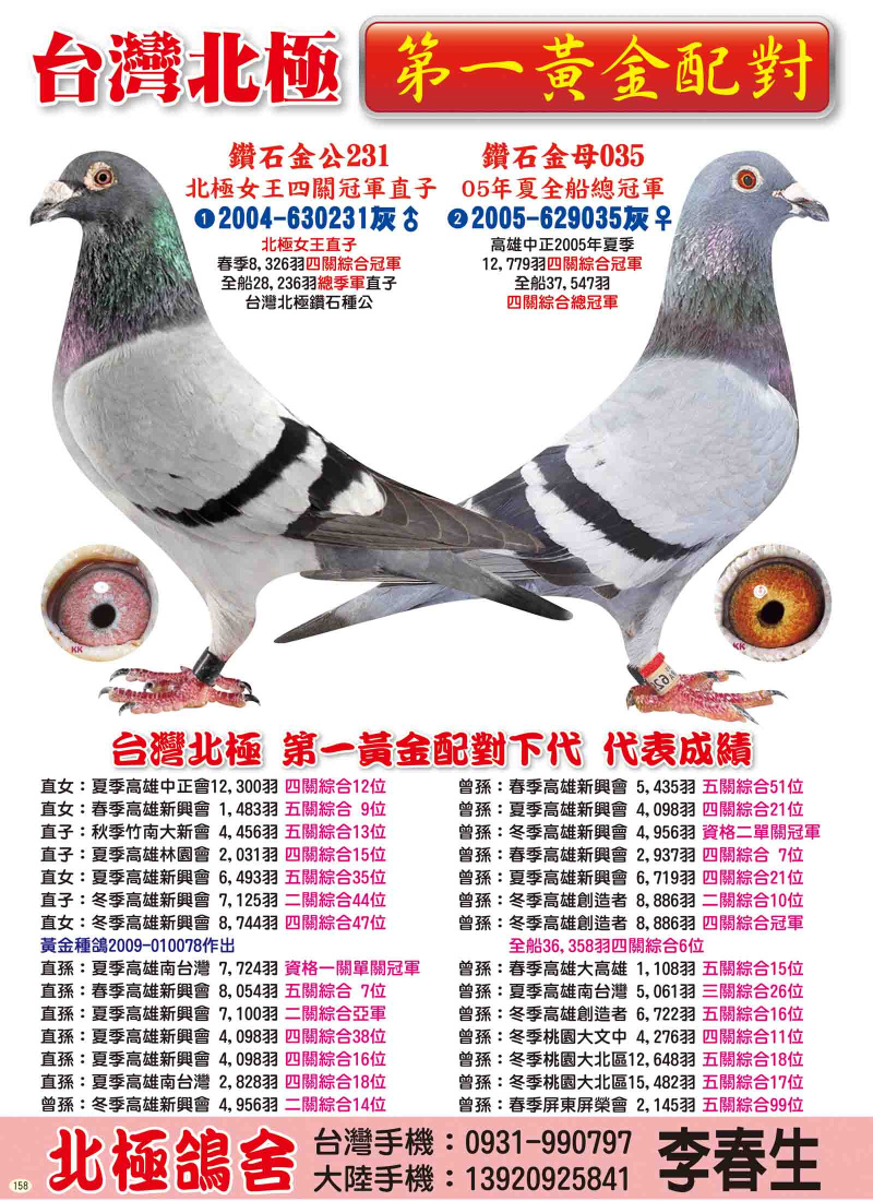 第一黃金配對