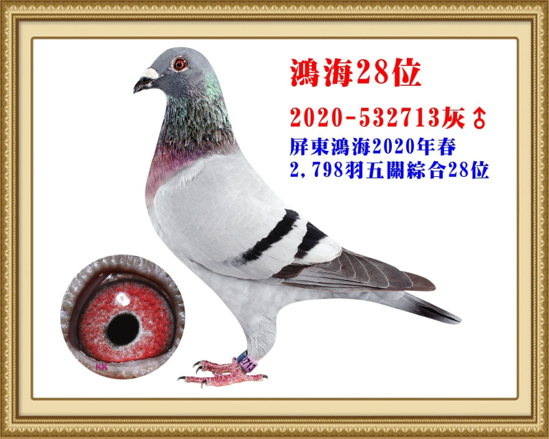鴻海28位 2020-532713灰公