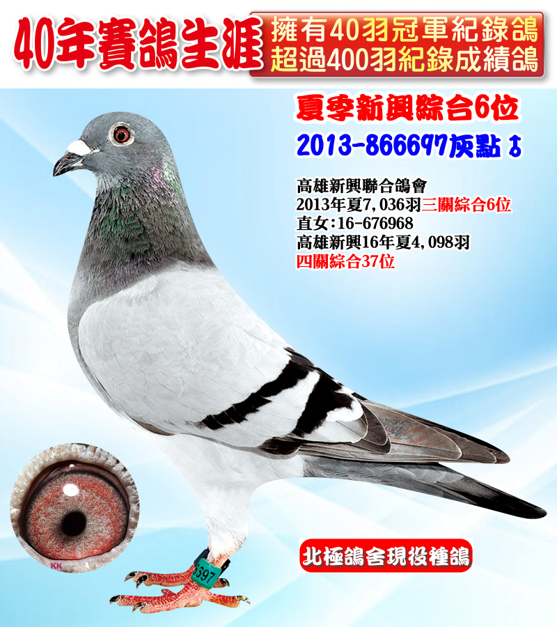 夏季新興綜合6位 2013-866697灰點♂