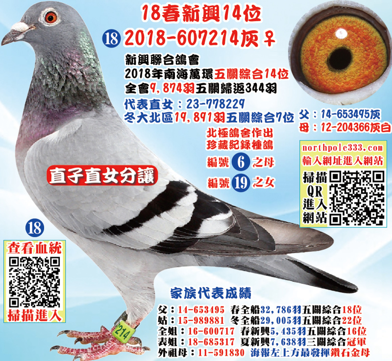 18春新興14位 2018-607214