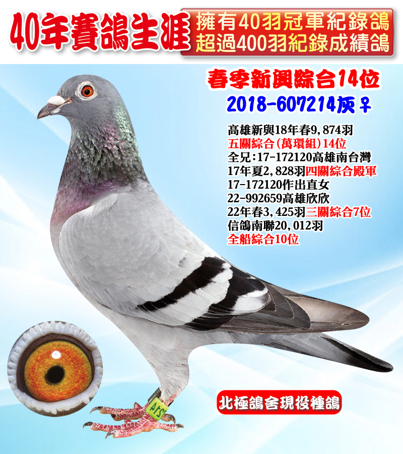 春季新興綜合14位 2018-607214灰♀