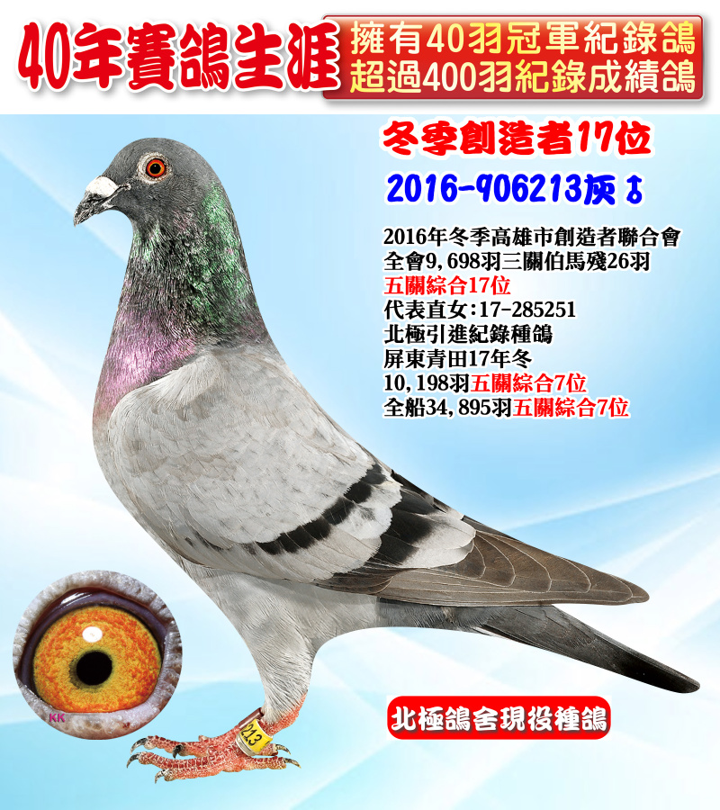 冬季創造者17位 2016-906213灰♂
