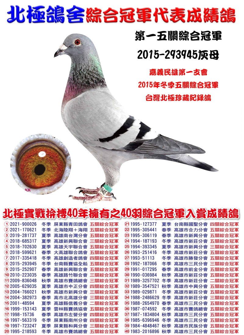 第一五關綜合冠軍 2015-293945灰母