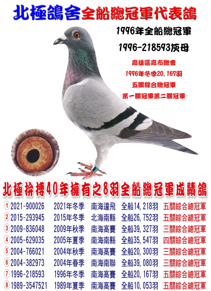 1996年全船總冠軍 1996-218593灰母