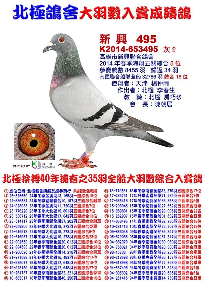 全船32,786羽綜合18位 2014-653495灰