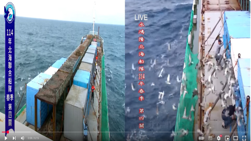 [北海春季賽事]20250420(日)北海春季第四關,北海聯合船隊及永鴻隆船隊,上午7:00放鴿實況