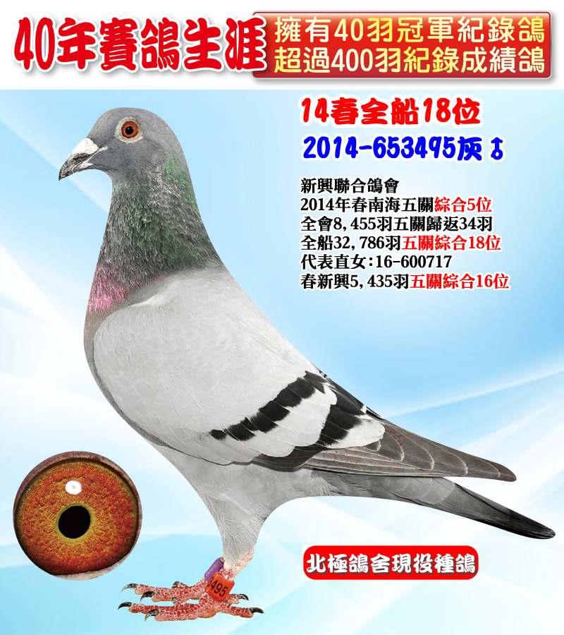 14春全船18位 2014-653495灰♂