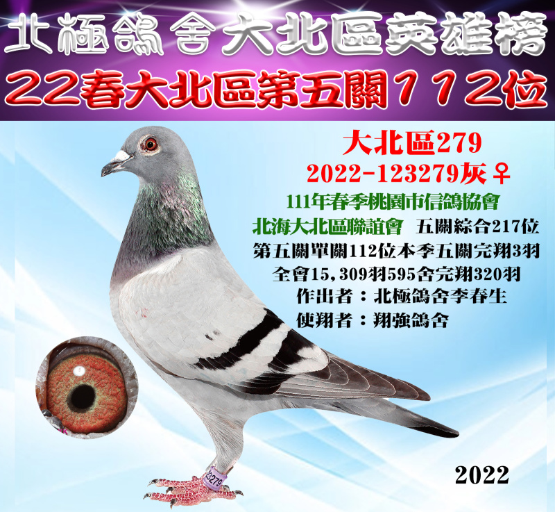 大北區英雄榜-22春大北區第五關112位[2022-123279灰♀]