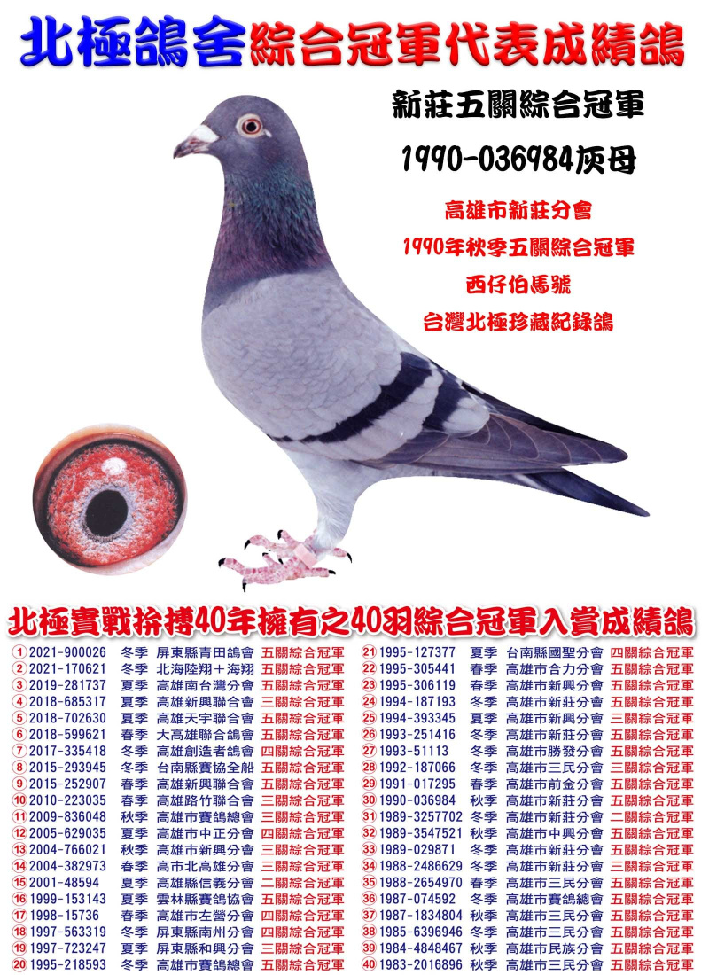 新莊五關綜合冠軍 1990-036984灰母