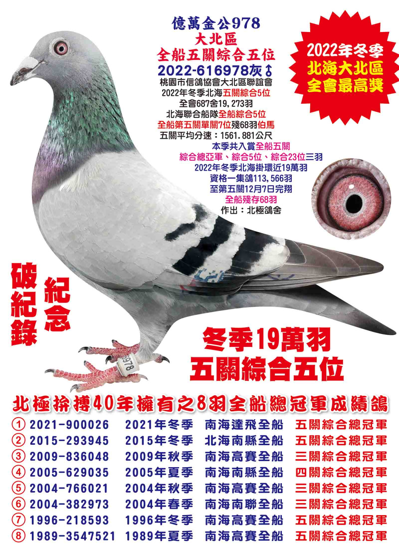 2022-616978灰公 億萬金公978