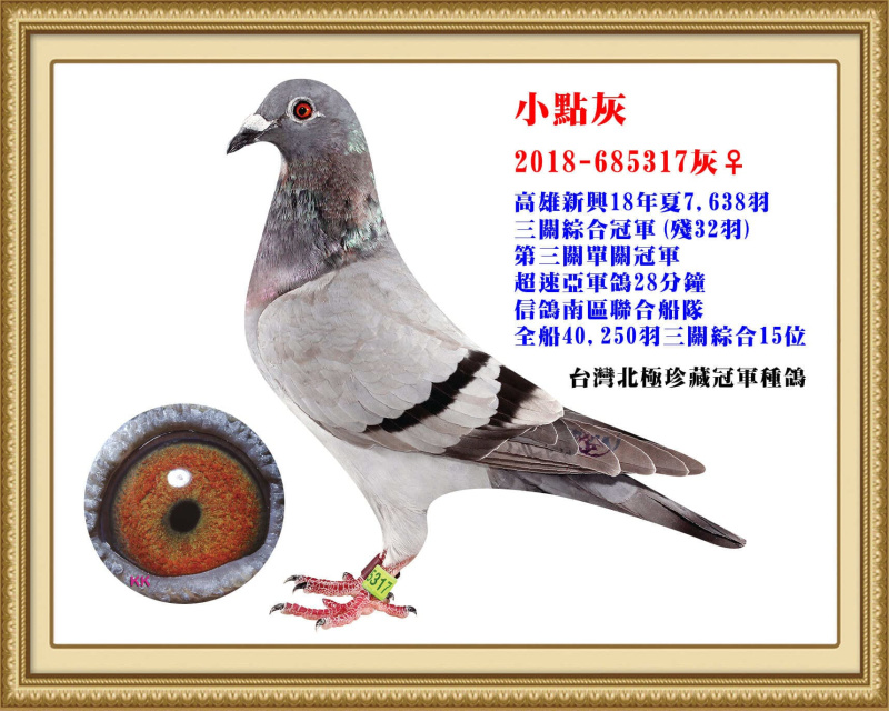小點灰 2018-685317灰母