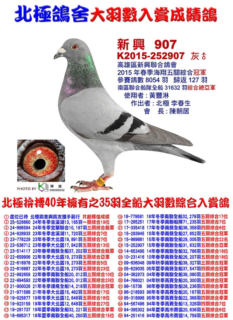 全船31,632羽綜合總亞軍 2015-252907灰