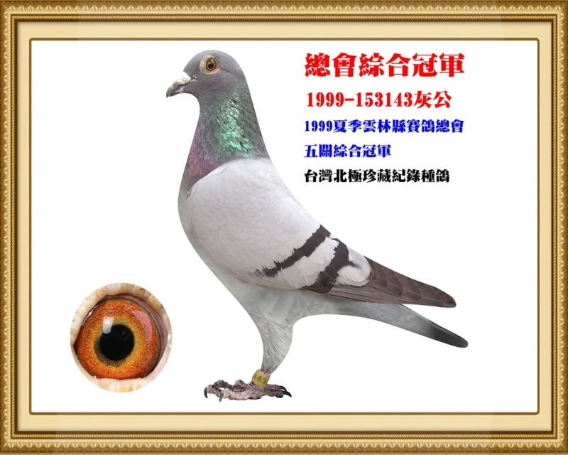 總會綜合冠軍 1999-153143灰公