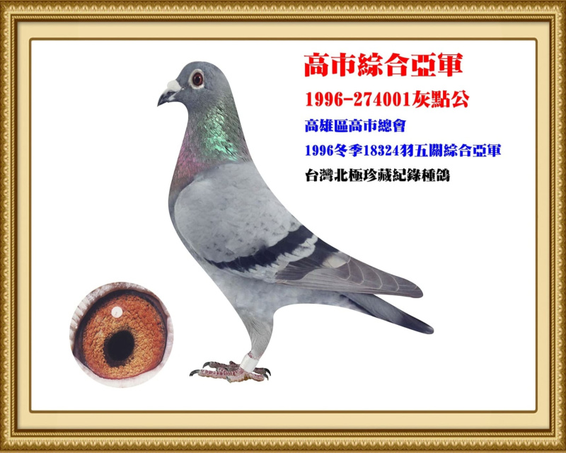 高市綜合亞軍 1996-274001灰點公
