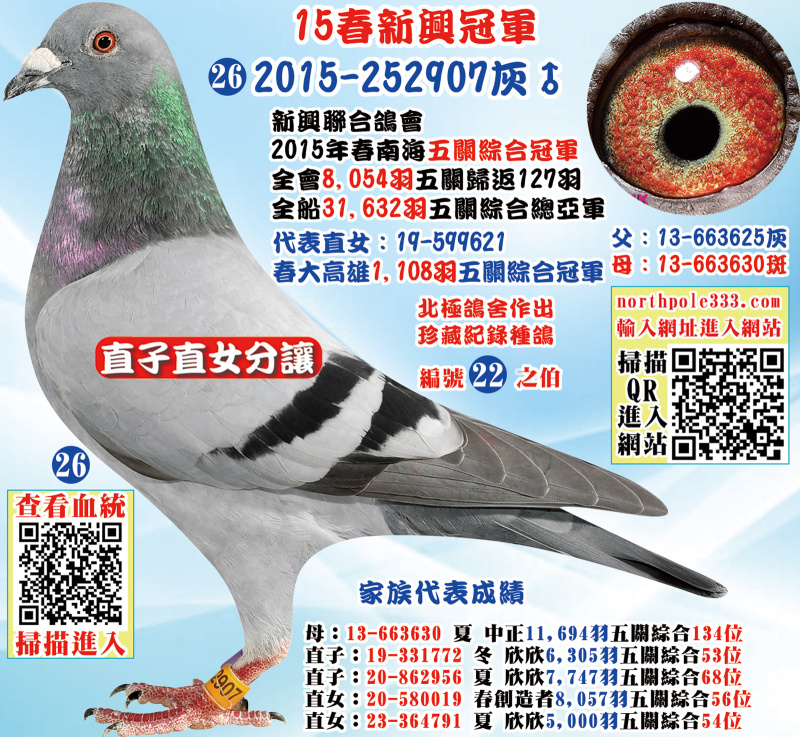 15春新興冠軍 2015-252907