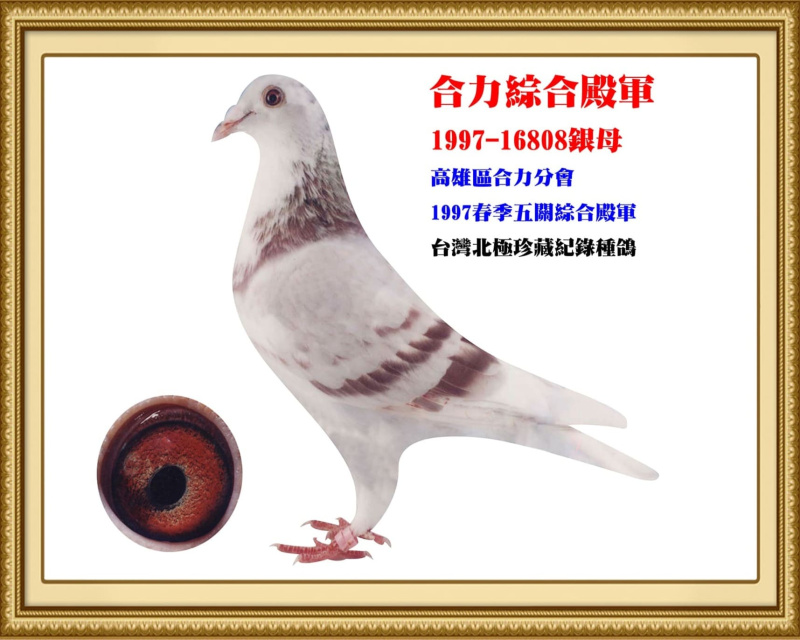 合力綜合殿軍 1997-16808銀母