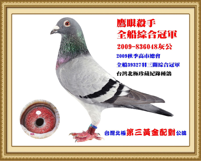 全船綜合冠軍 2009-836048灰公