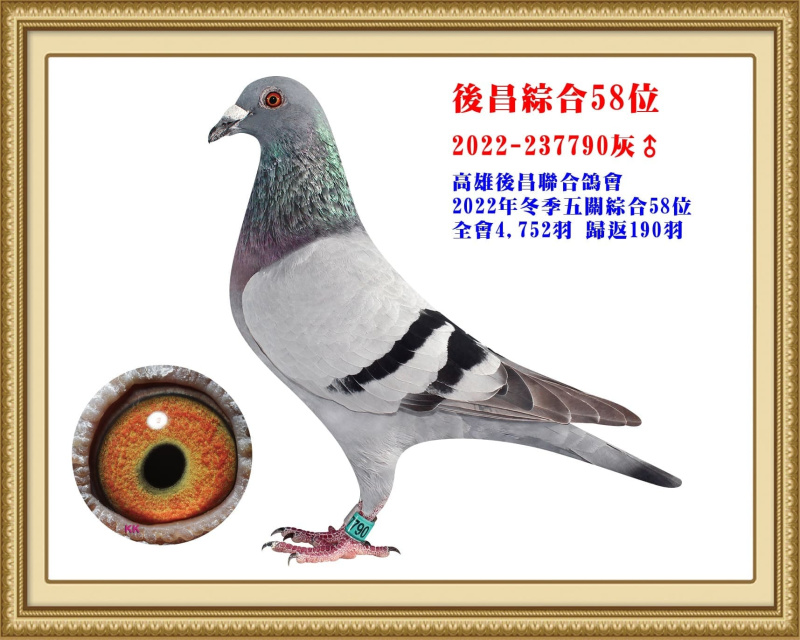 後昌綜合58位 2022-237790灰公