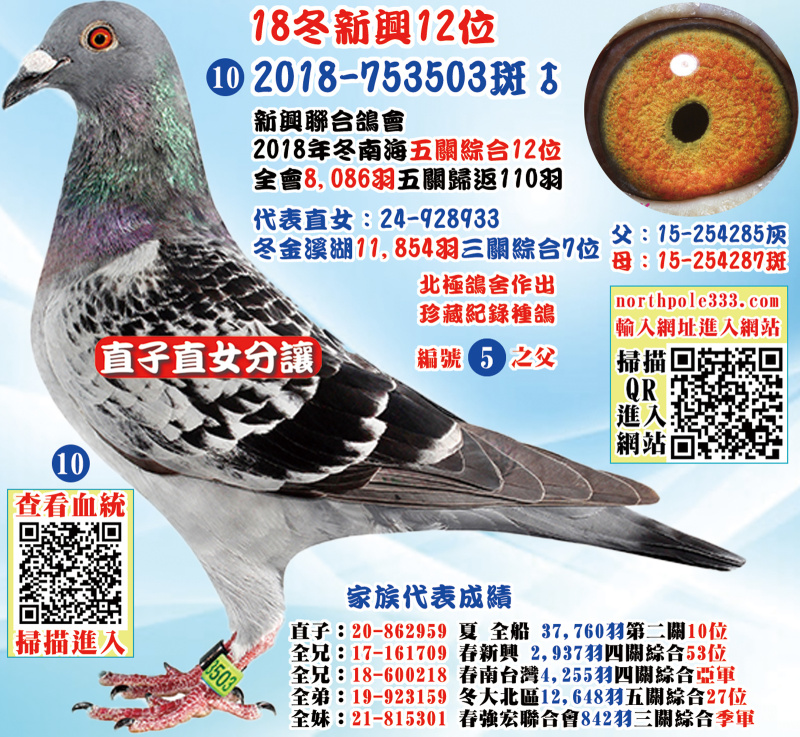 18冬新興12位 2018-753503