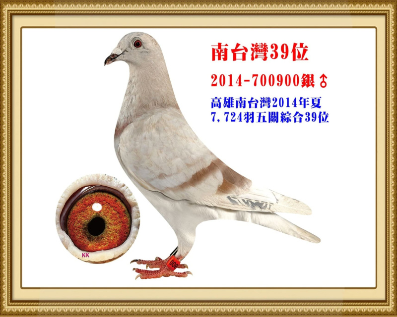 南台灣39位 2014-700900銀