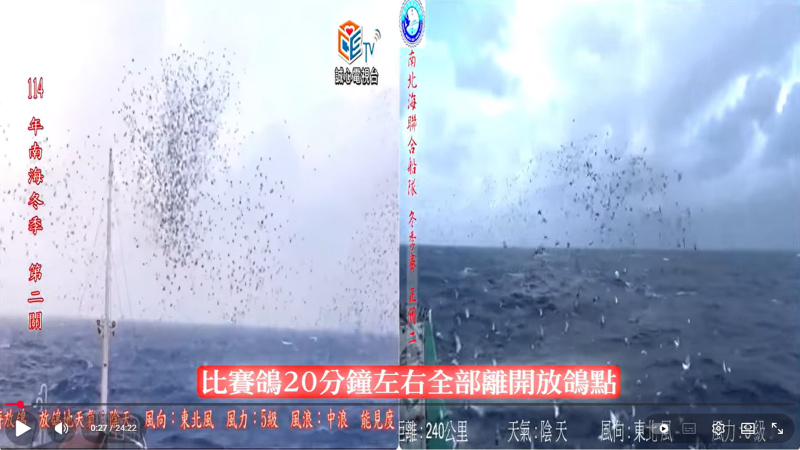 [南海冬季競翔]2025年10/26(日) 第二關