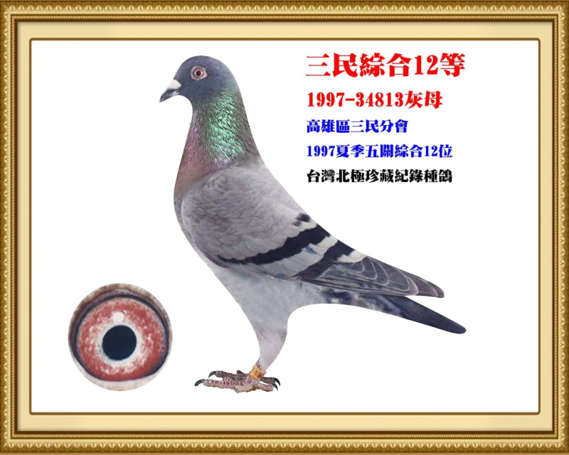 三民綜合12等 1997-34813灰母