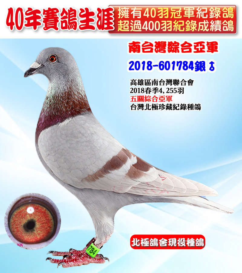 南台灣綜合亞軍 2018-601784銀♂