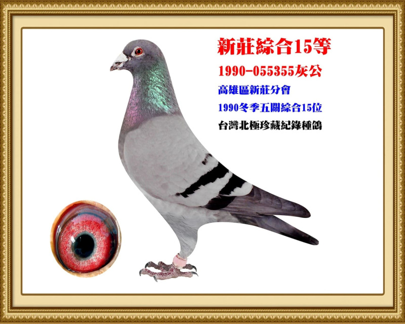 新莊綜合15等 1990-055355灰公