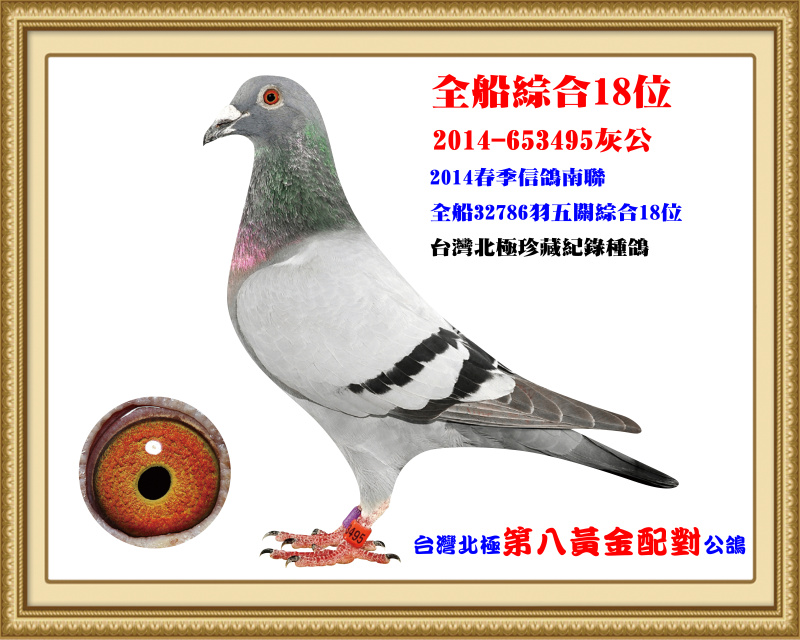 全船綜合18位 2014-653495灰公