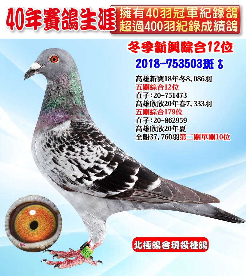 冬季新興綜合12位 2018-753503斑♂